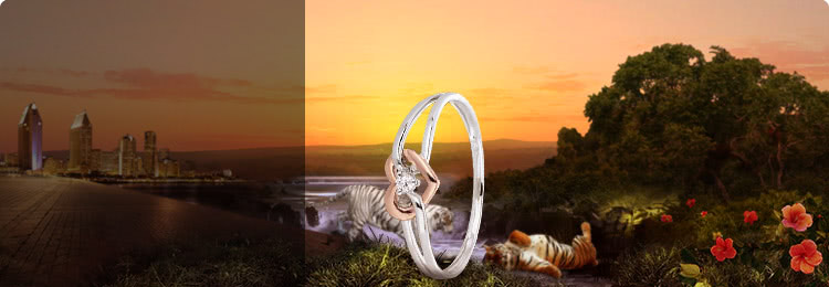 The Heart Collection