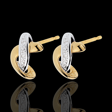Admiration Earrings