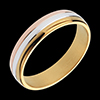 on-line buy Gravitational Ring