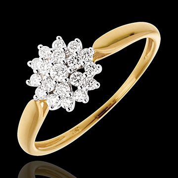 Kaleidoscope ring yellow gold  - 0.26 carat - 19diamonds